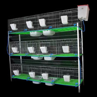 Maison d'Élevage de Lapins avec Nichoir Attenant et Cages à Lapins Nouveau Produit Fourni 12 Cages à Lapins Tubes Métalliques Philippines 1 Ensemble