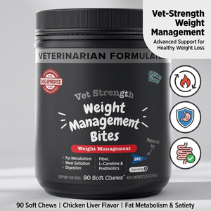 Control de peso Comida para perros Masticables suaves con L-Carnitina Multivitamina Intestino Digestivo Salud general Pérdida de peso para perros Suplementos para mascotas - Product Image 2