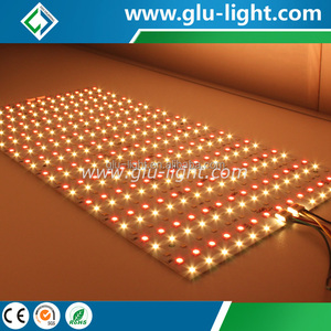 <span class=keywords><strong>Madeinchina</strong></span> 24 V/48 V RGBWWW 5 Couleurs En 1 CCT Modifiable Ra95 LED Tampons Souples Pour Film - Product Image 5