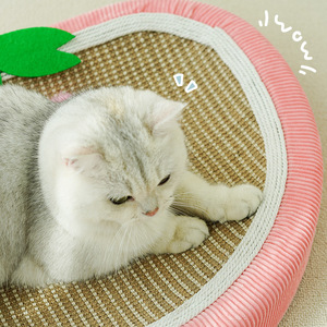 Rascador y cama para gatos de sisal, resistente al desgaste, sin pelusas, juguete para gatos, resistente a los arañazos, apto para todas las estaciones, para gatos - Product Image 2