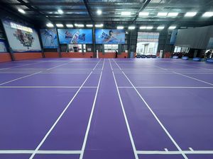 <b>PVC</b> Indoor Sports Court Flooring 8mm Anti-Slip Purple Badminton Court <b>Tiles</b> - Product Image 1