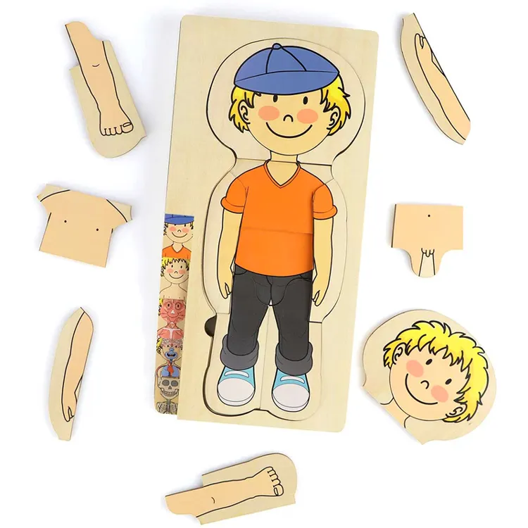 Puzzle educativo della struttura del corpo umano dei bambini del giocattolo di legno della pittura variopinta a più strati di Dropshipping