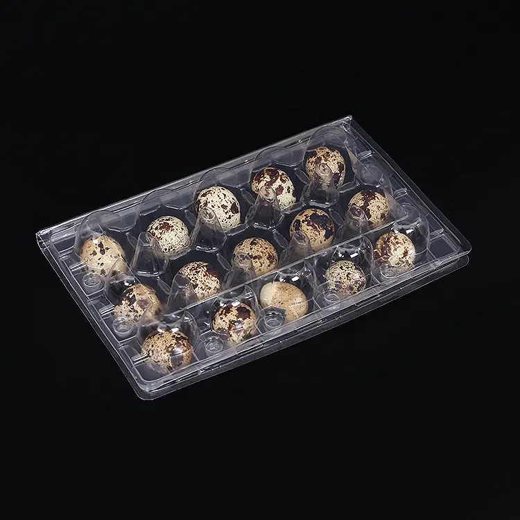 Custom clear large quail eggs tray