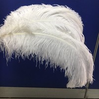 55-60cm plumes d'autruche en gros grandes plumes aile mur fête de mariage pour déco plume d'autruche