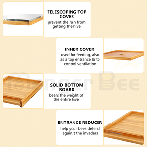 Kit complet de ruche Langstroth 10 cadres, 2 boîtes profondes + 2 boîtes moyennes, en bois de cèdre enduit de cire d'abeille, avec cadres - Product Image 6