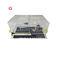 Cage de ponte d'oeufs de caille de type H en acier galvanisé de haute qualité de 45 pièces avec mangeoire et abreuvoir pour usage domestique de ferme de poulet