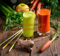Druivenschroef Fruit Extract Squeeze Machine Spiraal Sap Extractor Wortelsap Citroen Juicer Machine