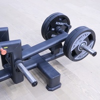 Appareil Commercial Professionnel à Poids Inclus pour Abduction et Adduction 3D des Hanches, Entraîneur de Gluteus et Muscles Internes/Externes des Cuisses à Mouvement en Arc 3D