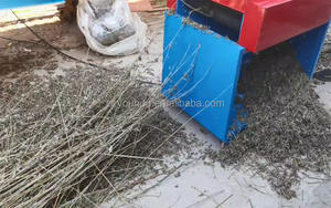 Machine à retirer les feuilles d'olivier, machine à retirer les tiges de feuilles de thé, équipement de retrait <span class=keywords><strong>des</strong></span> feuilles, machine à extraire les aiguilles de pin - Product Image 5