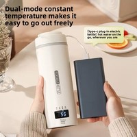 Bouilloires électriques Thermomètre LED Thermos Bouteille d'eau Maintien au chaud Portable Automatique Voyage Café Bouilloire électrique