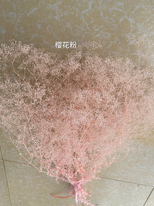 2020ขายร้อนดอกไม้ที่เก็บรักษาไว้Babysbreath Preserved<span class=keywords><strong>ล้าน</strong></span>Starสำหรับตกแต่งบ้าน - Product Image 3