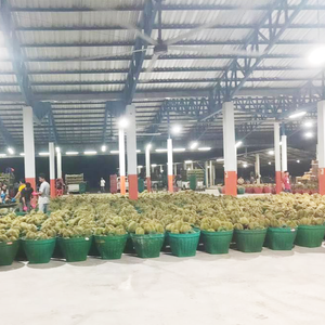 HVLS Industrieventilator Deckenventilator Vietnam für Milchkuhställe - Product Image 4