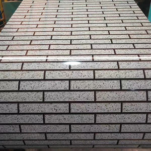 Bobine d'acier galvanisé prélaqué PPGI/PPGL coloré pour la construction, le pliage, le soudage et la découpe – Vente en gros usine - Product Image 6