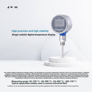 CWDZB3 工業用温度計 高精度 Pt100 温度センサー トランスミッター 内蔵バッテリー LCD ディスプレイ ステンレス鋼 - Product Image 5