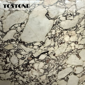 Tostone Offerta Speciale Lastra di Marmo Naturale Calacatta Viola 20MM <span class=keywords><strong>per</strong></span> Installazione su Cortili, Giardini, Vialetti e Cucine in Stile Vintage - Product Image 4