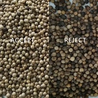 Trieuse de couleur de riz multifonctionnelle de haute précision pour moulin à riz également pour le tri direct des arachides de grains de café en Chine