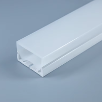 Bande LED Flexible Séparée de Diffuseur de Tube Néon en Silicone 40*25mm