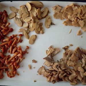 Bán buôn xuất khẩu lớp tươi đóng hộp trộn nấm, nemako, vua hàu, champignon trong nước muối OEM/ODM - Product Image 4