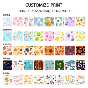 个性化重型无拉力狗用背带和牵引绳套件 狗用零食袋 宠物背心 带定制徽标制造商 - Product Image 5