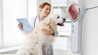 Otoscope LED vétérinaire portable pour chien et chat, dispositif de contrôle des oreilles, spéculum réutilisable, équipement de diagnostic pour clinique vétérinaire, approuvé CE