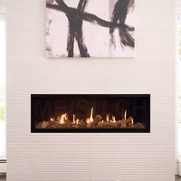 Cheminée au gaz MEISU.CH, gaz naturel, gaz de pétrole liquéfié, thermostat intégré, bûches intégrées, cheminée au gaz