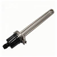 Élément Chauffant Électrique à Induction Tubulaire Tri-Clamp 220V 380V Triphasé 12KW SUS304 pour Chauffe-Eau