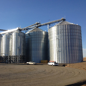 ไซโลเหล็กก้นแบนสำหรับโรงเรือนเลี้ยงไก่ ขนาด 6000 ตัน คุณภาพสูง ราคาประหยัด สำหรับเก็บข้าวโพด ข้าวสาลี ข้าวเปลือก ข้าวสาร ราคาจากผู้ผลิต - Product Image 2