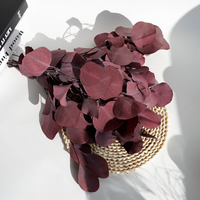 Bouquet de Noël en eucalyptus naturel préservé, feuilles d'argent et de pomme, pour la décoration intérieure
