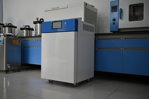 Incubadora de Dióxido de Carbono Co2 de 80L, Incubadora con Cámara de Aire para Cultivo Celular de Laboratorio - Product Image 6