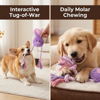 Jouets à mâcher pour chien durables, écologiques, en peluche, avec couineur et corde en coton amovible, personnalisation OEM ODM, fabricant, vente en gros