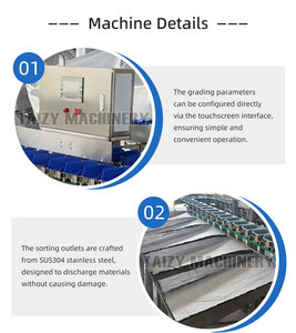 Trieuse pondérale automatique à grande échelle pour huîtres, fruits de mer, pommes de terre, oignons, pommes et poissons - Product Image 5