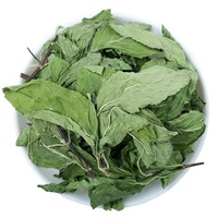 Thé aux herbes naturelles, feuilles de menthe, épices sauvages saines séchées, herbes, menthe verte séchée, thé aux feuilles de menthe