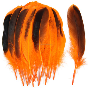 Plumas <span class=keywords><strong>de</strong></span> Pato Naturales Teñidas Directamente, 10-15 cm, Buena Calidad, para Manualidades, Joyería <span class=keywords><strong>y</strong></span> Decoración, Oferta - Product Image 2