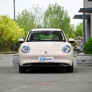 Great Wall Euler Good Cat 2024 todas las versiones coches eléctricos buen precio - Product Image 2