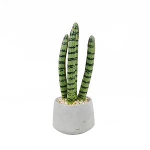 Ln Simulatie Sappige Kunstmatige Groene Plant Kleine Bonsai Faux Huisdecoratie Tafeldecoratie Plastic Cactus Planten