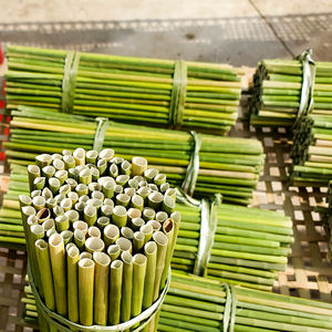 Pajitas Desechables Ecológicas de Hierba Natural del Fabricante Vietnamita, Accesorios para Bebidas de Bar - Product Image 6