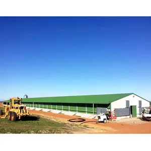 Granja avícola comercial industrial de acero, casa de pollo a la venta