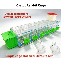 Cage à lapins en acier galvanisé robuste avec plateau amovible pour l'élevage commercial de volailles et les opérations d'élevage