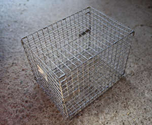 Nuova Rete Metallica Saldata in Ferro Zincato con Fori Quadrati per Gabbie di Conigli e Visone - Product Image 4