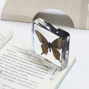 <span class=keywords><strong>Mariposa</strong></span> real en resina, espécimen de <span class=keywords><strong>mariposa</strong></span>, pisapapeles surtido de, colección de taxidermia de <span class=keywords><strong>mariposa</strong></span> enmarcada, exhibición, Juguetes De ciencia - Product Image 6