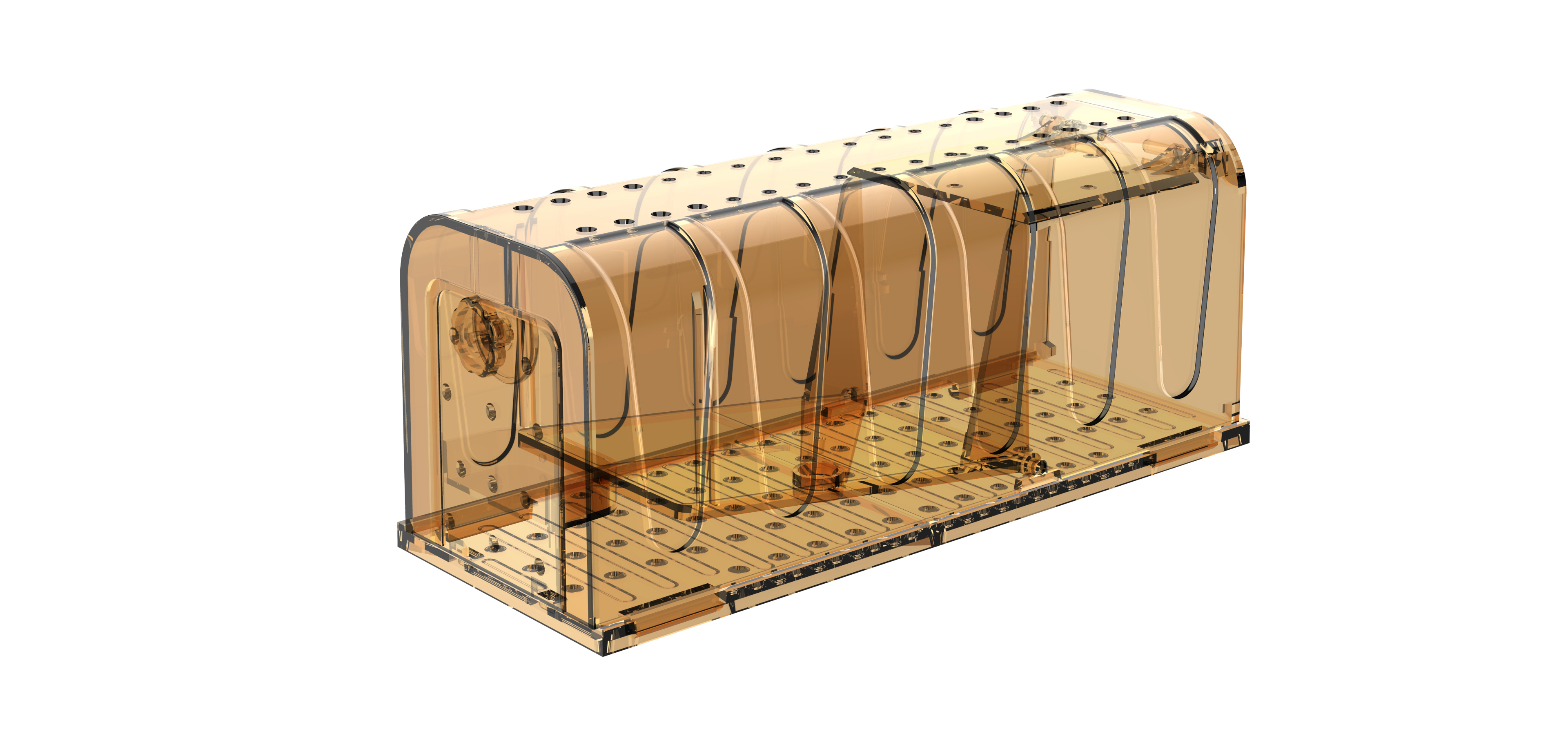 สีน้ำตาล