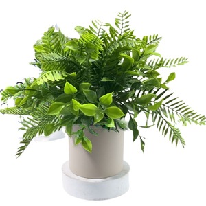 Plantes artificielles en pot de la collection Fuyu, verdure réaliste pour la décoration du salon et du bureau, plantes d'intérieur en plastique de 20 cm - Product Image 5