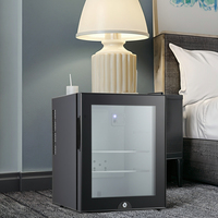 Réfrigérateur thermoélectrique silencieux compact WNM 40L, mini-bar à faible bruit pour voiture et hôtel, prise en charge de la langue française