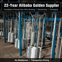 Fil plat galvanisé à chaud Q195 Q235 2-6mm 350-550MPa pour clôtures, gabions et travaux de construction