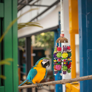 New Design Colorful Coir String Chewing <strong>Toy</strong> for <strong>Parrots</strong> Birds - Product Image 6