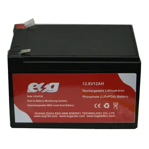 ESG Wartungsfrei Bms 100ah 150ah 200ah Lithiumeisenphosphatbatterie12V 100AH Lithium batterie
