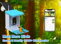 Vente en gros de mangeoire à oiseaux automatique à reconnaissance intelligente à énergie solaire avec caméra de vision nocturne