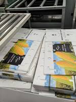 Caisse carrée pour fruits et légumes en polypropylène recyclable pour la logistique agricole et la chaîne du froid