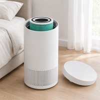 Filtre HEPA au charbon actif H10 H11 H12 H13 H14 de remplacement pour purificateur d'air Levoit Core Mini Core 200S 300S Vital 100 200S