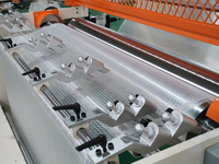 Pansatec Factory Best Selling Automatic Bubbles Wrap Maker Máquina extruida Diseño de un solo tornillo Core PLC para película de hoja de PE